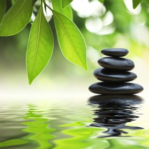 shutterstock_32832235