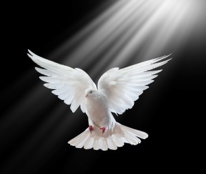shutterstock_47675434