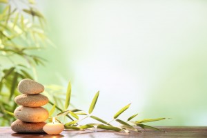 shutterstock_113780260