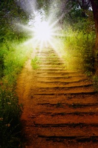 shutterstock_55657867