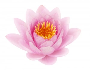 shutterstock_84314821