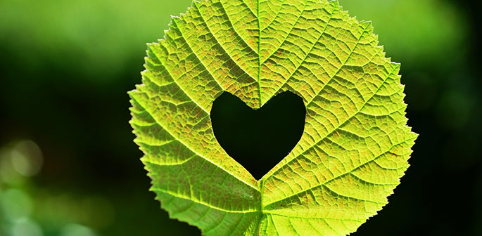 Om anahata chakra