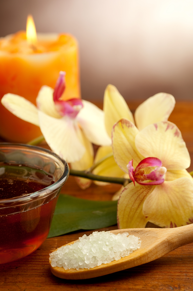 Citronmeliss medicinalväxter