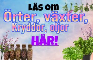 Örter oljor medicinalväxter
